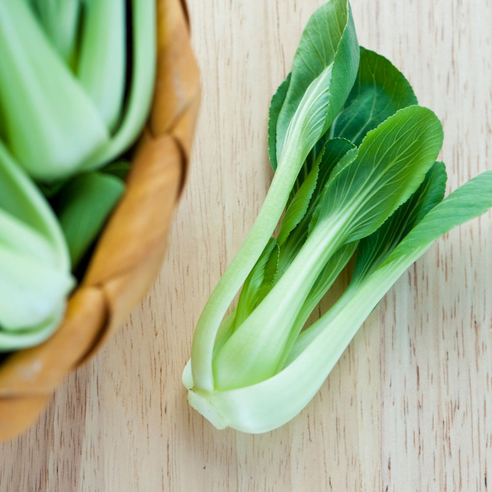 NitrogenLoving Plants that will Love Your FoodCycler