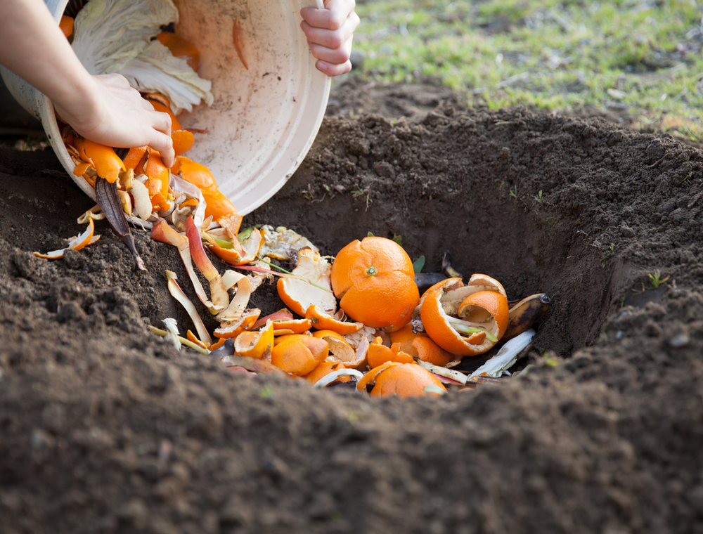 Dirty Dozen 12 TOP Composting Methods [Pros, Cons & Costs]