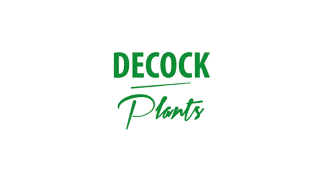 fabric planting containers Dalen Felt Planter Bag Set - Stylish Gardening Grow Bag That Will Keep Your Plants Healthy