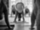 Yoga students in Downward Facing Dog