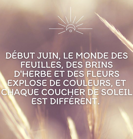 Publication Instagram Bonne Journée Soleil Nature Marron.png