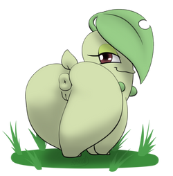 Chikorita1a