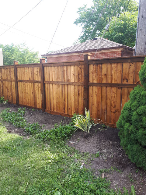 fence1.jpg