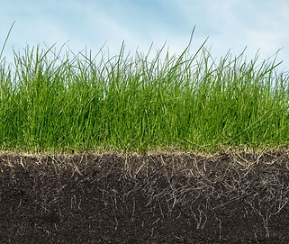 soil-grass-carbon-farming-adobestock-357924853.jpg
