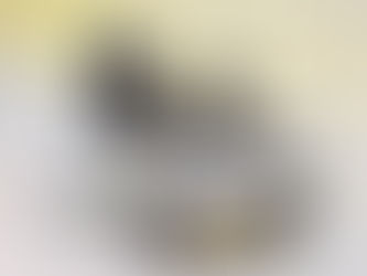 G-DRAGON愛貓變角色!《ZO&FRIENDS》夢幻快閃店台北登場,療癒系粉絲全員集合!