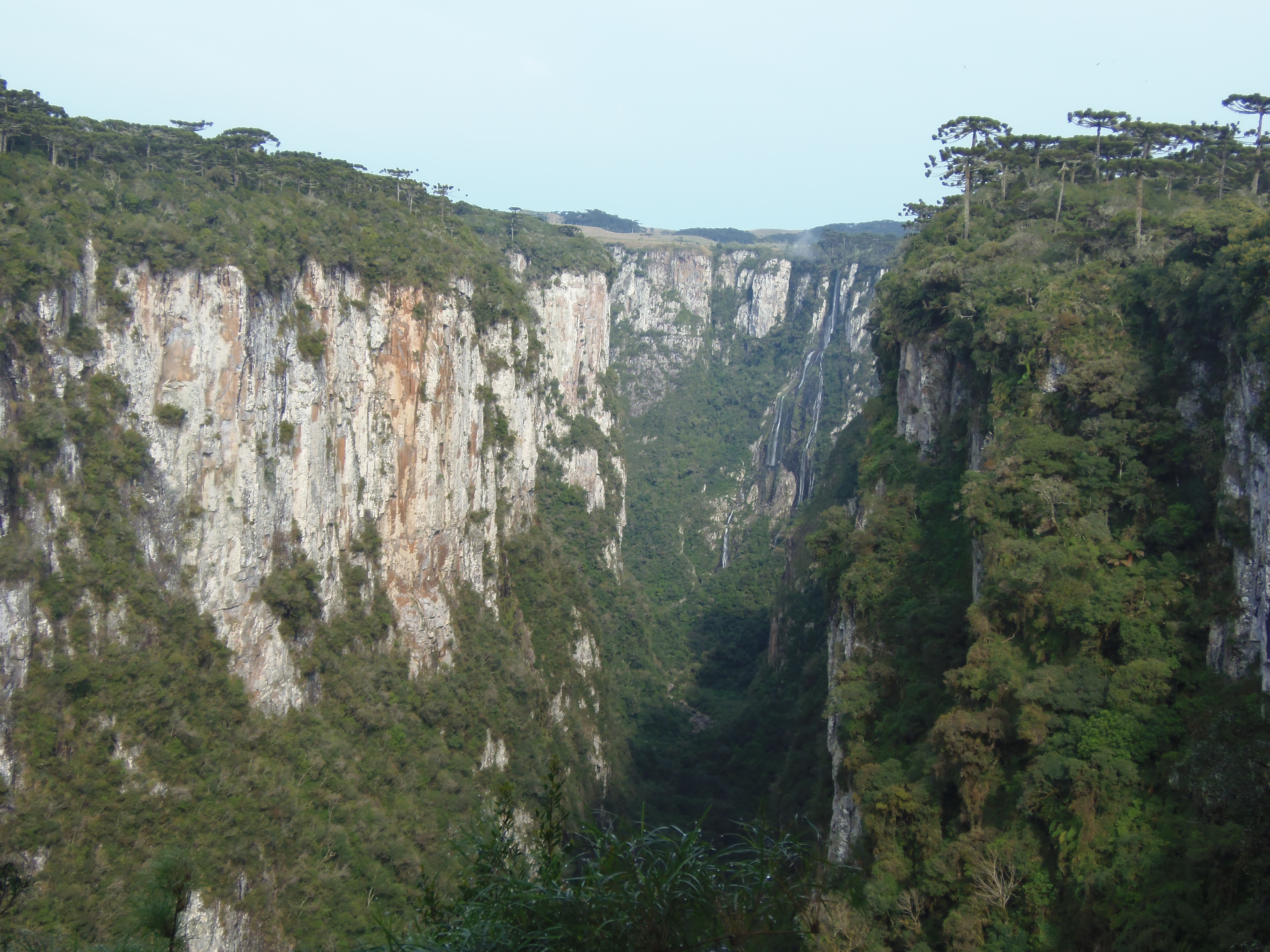 Canyon Itaimbézinho