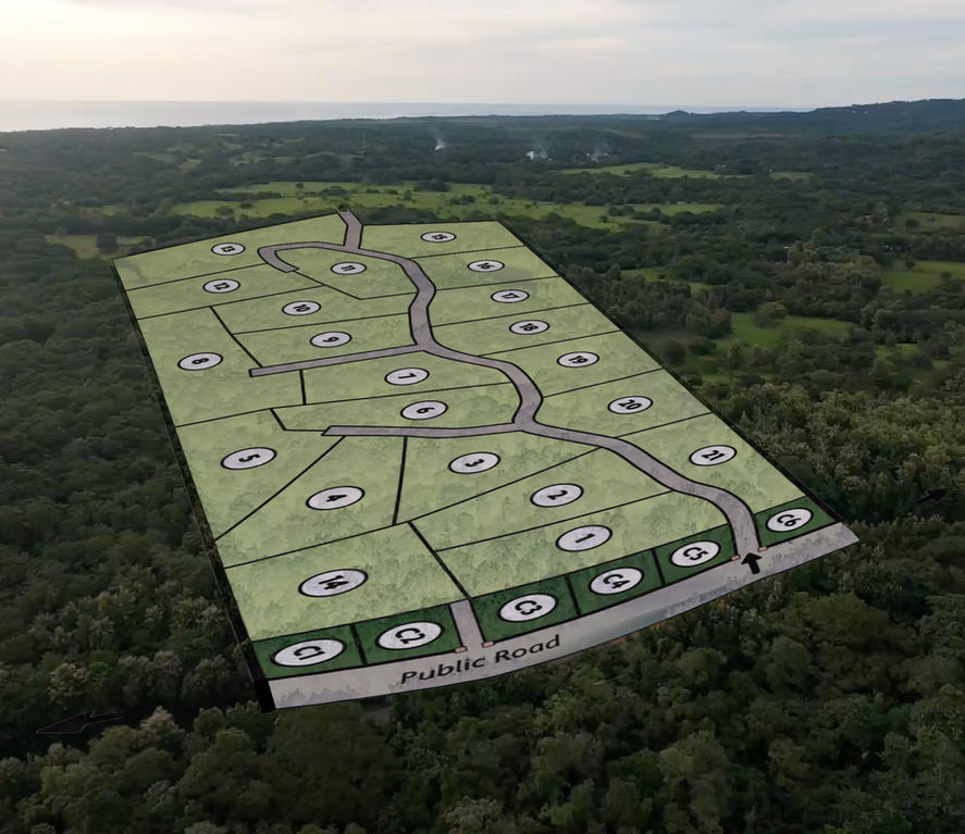 Aerial view of Finca Los Venados land showing lot layout and access road.