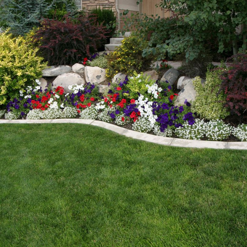 Can Pressure Washing Ruin My Landscaping?