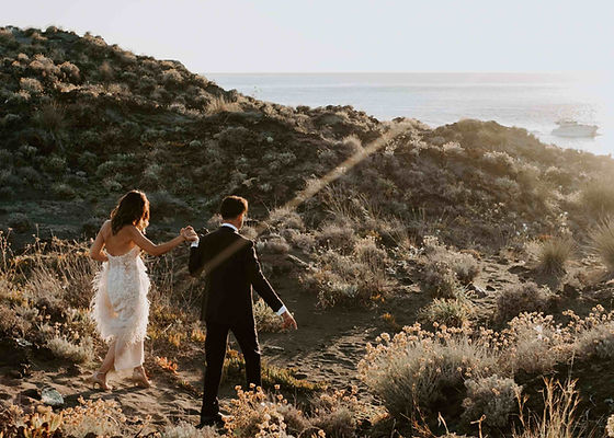 Wild and chic wedding