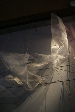 Les voiles Espace Carambole