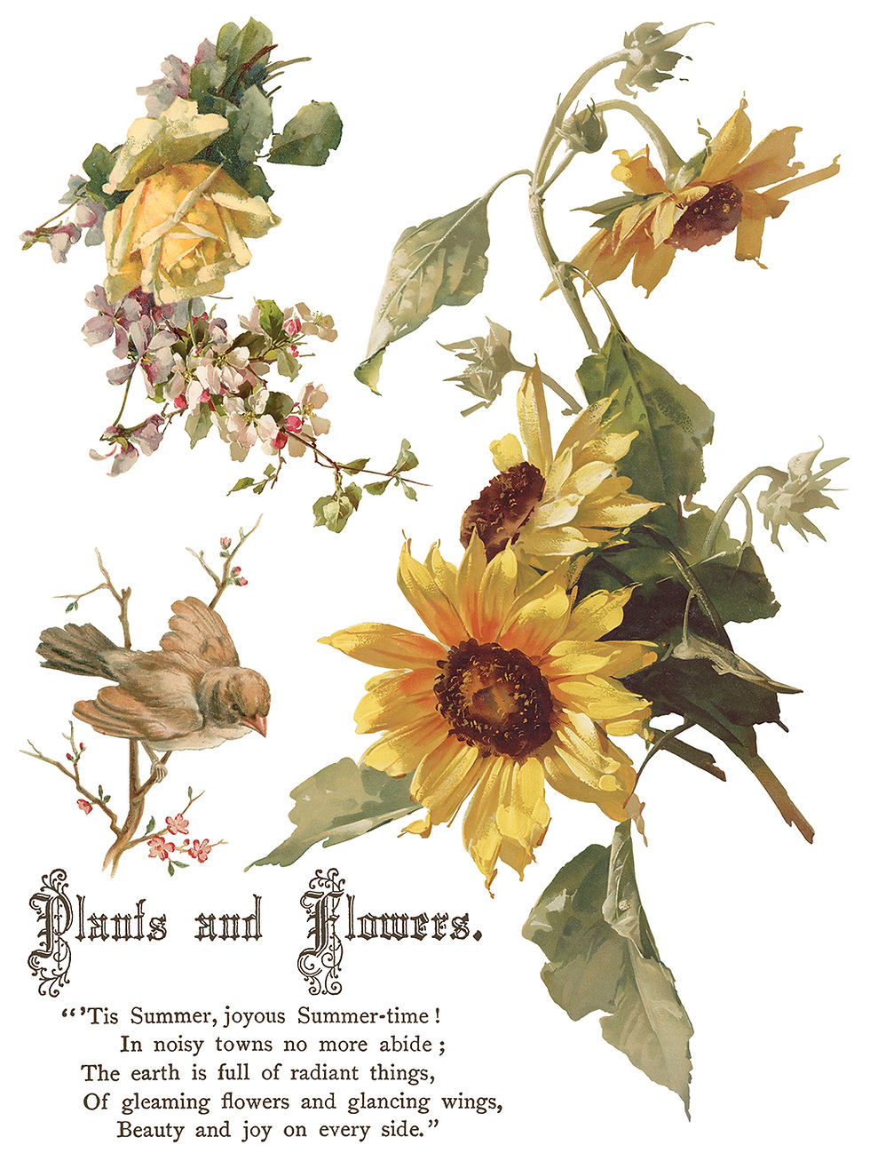 Thumbnail: Flowers by Poet IOD Transfer 12"x16" eight sheets