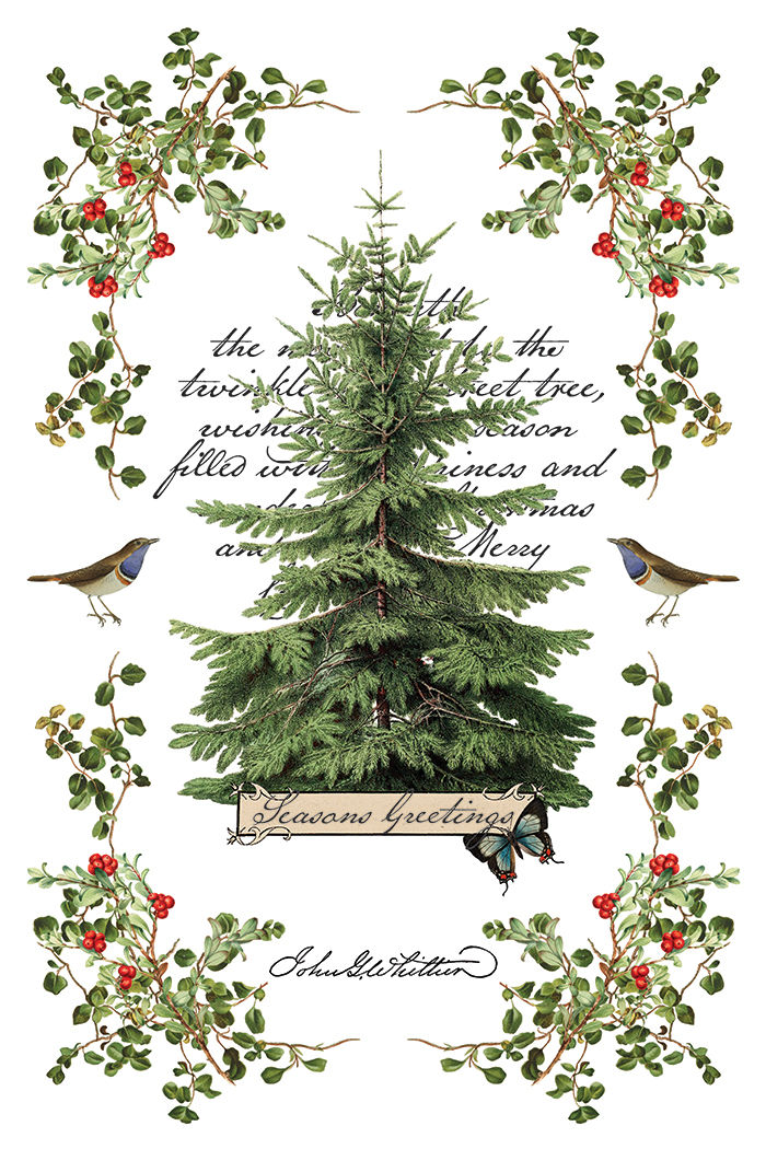Thumbnail: Winter Botanist IOD Transfer (8"x12"- eight pages)