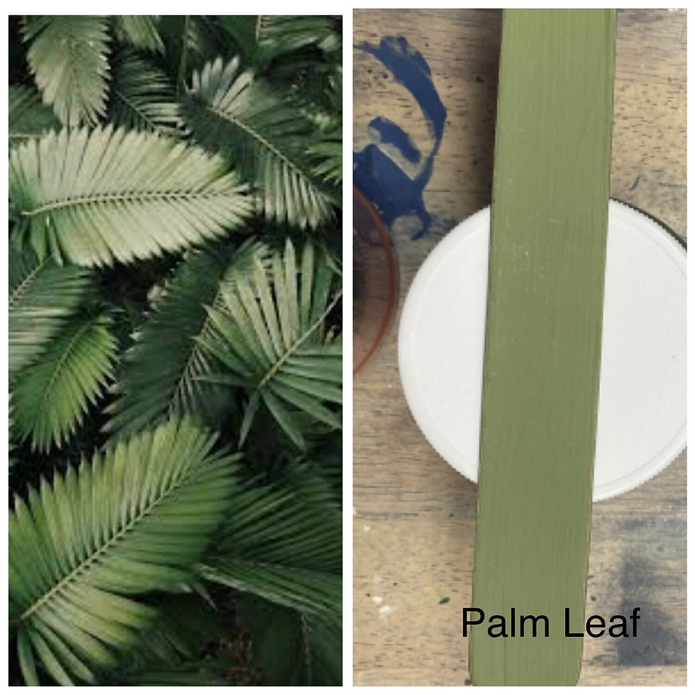 Thumbnail: Palm Leaf Clay, chalk, mineral based paint
