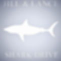 Custom stainless steel shark sign