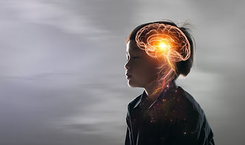 Brain Nervous System concept.Science is something that children should study and learn.Thi