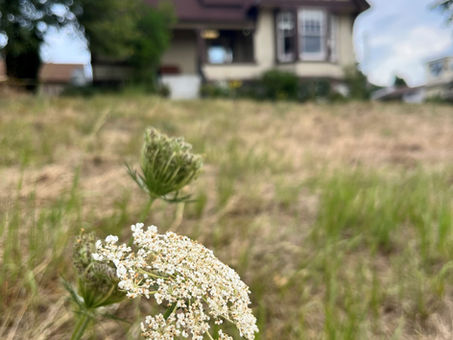 McRae House set upon fields farmed by First Nations long before Settlers came!