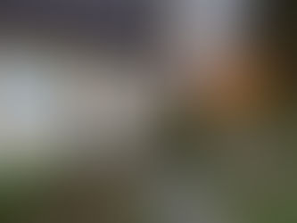 November Light Welcomes you to SVSS