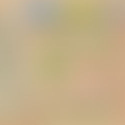 Difference Between Herbal Medicine, Homeopathy, and Conventional Medicine