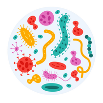 Bowel Nosodes in Homeopathy: Gut Health, Susceptibility, and Remedy Relationships