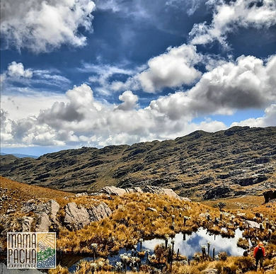 Corpoboyacá y Casa de Boyacá en Bogotá adelantan plan de fortalecimiento empresarial
