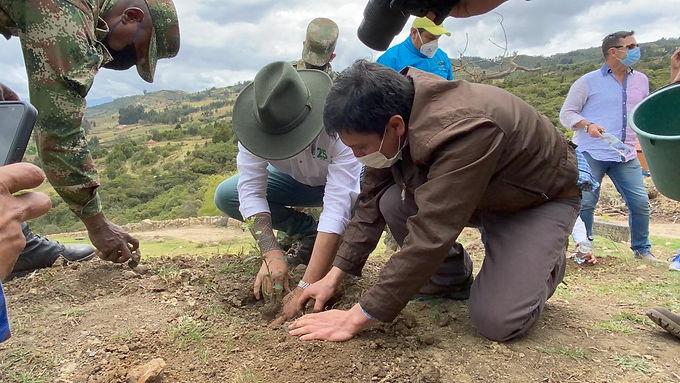 2.500 árboles sembrados en Tibasosa