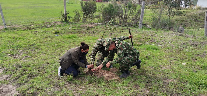 11.470 árboles sembrados por Corpochivor