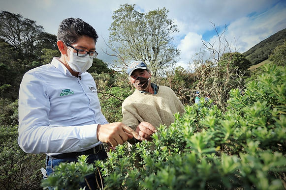 Siguen en la tarea de reforestar Boyacá. Más de 600 árboles por 1.200 bolsas de leche