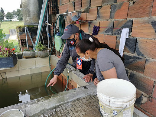 En marcha contra el dengue