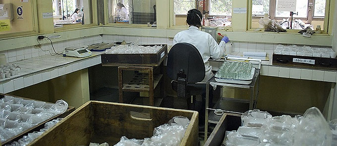 ¿Usted hace parte de los primeros 20 millones de colombianos a vacunar?