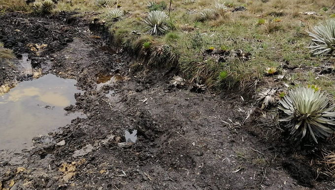 ¿Qué se ha hecho por el campo en Boyacá?
