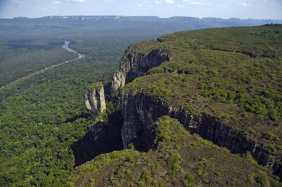 28 millones de dólares para frenar la deforestación en el Amazonas