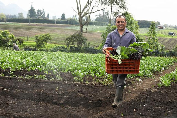 La Rap-e planea una segunda mercatón campesina para octubre