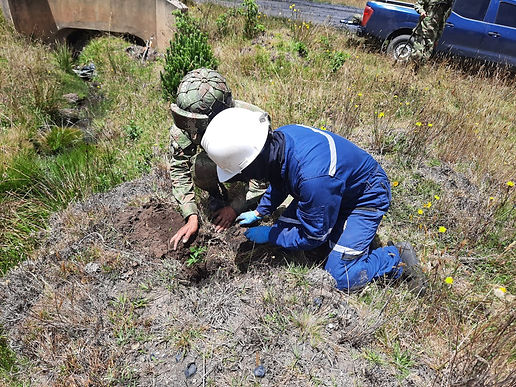 El Ejército sigue sembrando árboles por Boyacá