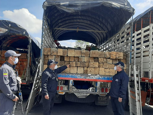A la cárcel integrantes de red que comercializaba de madera extraída del Parque Natural Regional Serranía las Quinchas