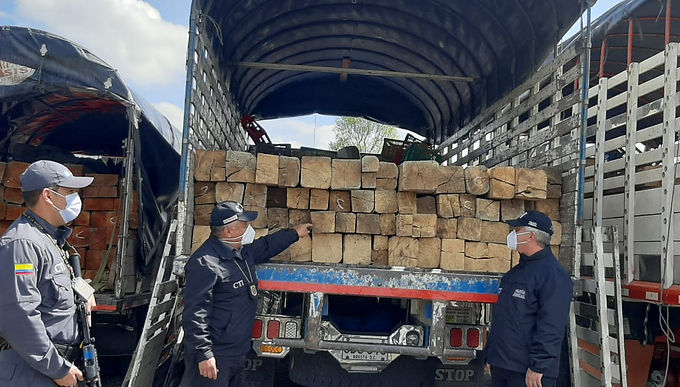 A la cárcel integrantes de red que comercializaba de madera extraída del Parque Natural Regional Serranía las Quinchas