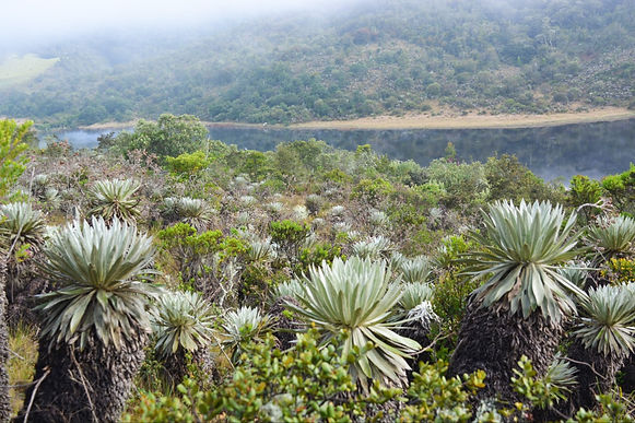Boyacá estará presente en el encuentro internacional de turismo