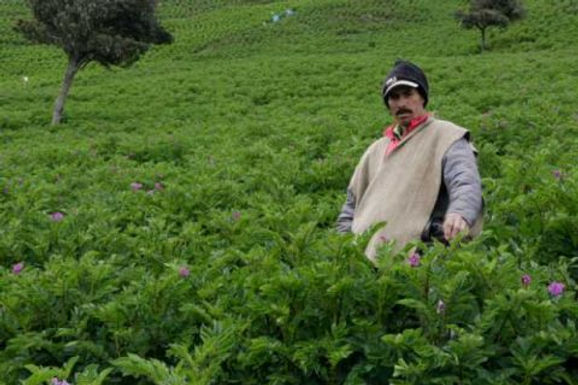 Proyecto de Ley para ayudar a 140 mil productores