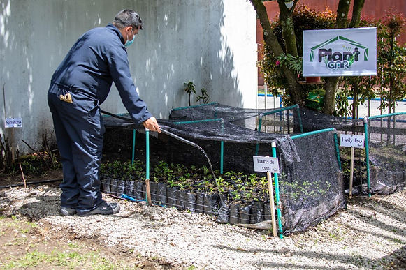 Cambio verde para le Región Central