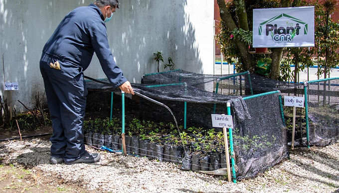 Cambio verde para le Región Central