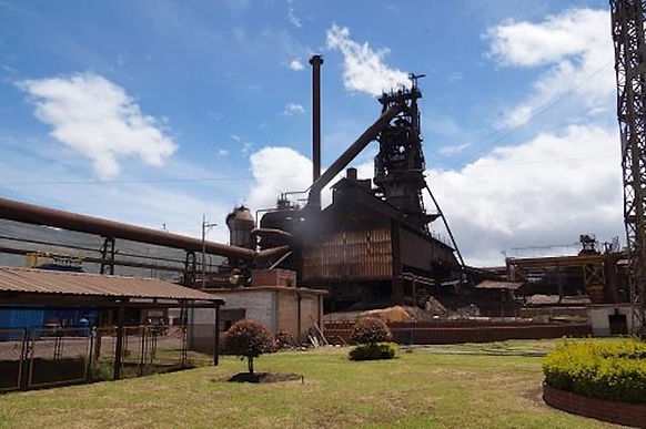 ¿Se venden o no se venden las acciones de Acerías Paz de Río?