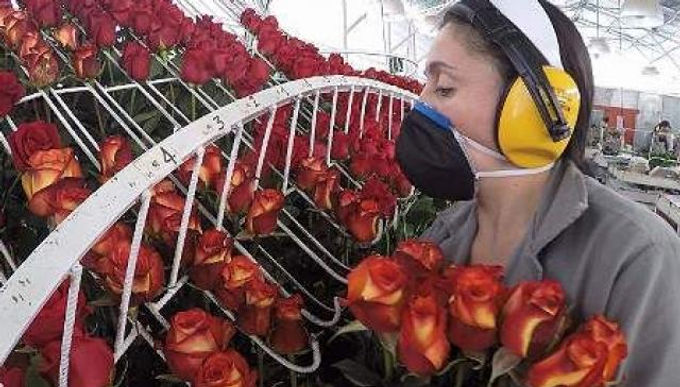En manos de ‘Boyacá Exporta’ está la recuperación económica