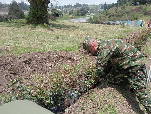 Boyacá sigue reverdeciendo