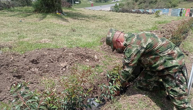 Boyacá sigue reverdeciendo