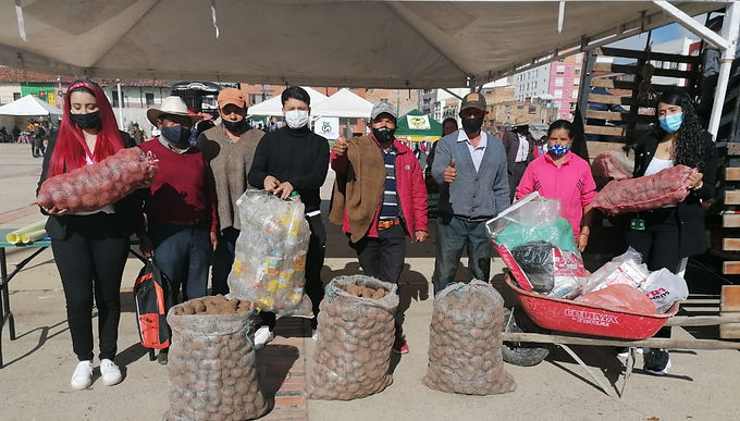 9.692 kilos de papa se entregaron en Tunja