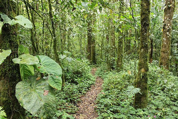 Parques Nacionales siguen cerrados