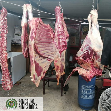 Más de 85 kilos de carne incautados en Tunja