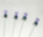 Glass drinks stirrers, Coloured thistle design, cocktail stirrers
