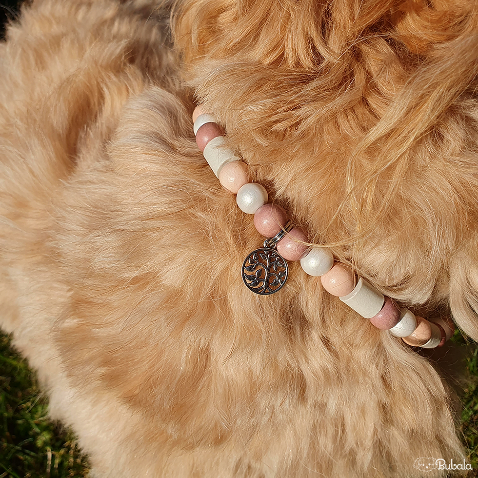 Miniaturbild: Hundehalsband mit EM-Keramik-Perlen, Rosa-Töne, mit Lebensbaum-Anhänger, an beige-farbenem Hund im Grünen, Nahaufnahme