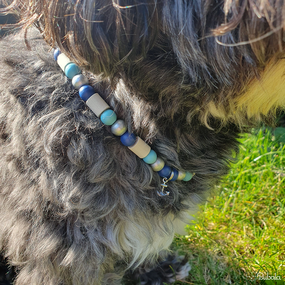Thumbnail: Hundehalsband mit EM-Keramik-Perlen, Dunkelblau-Töne, mit Anker-Anhänger, an schwarz-weißem Hund im Grünen