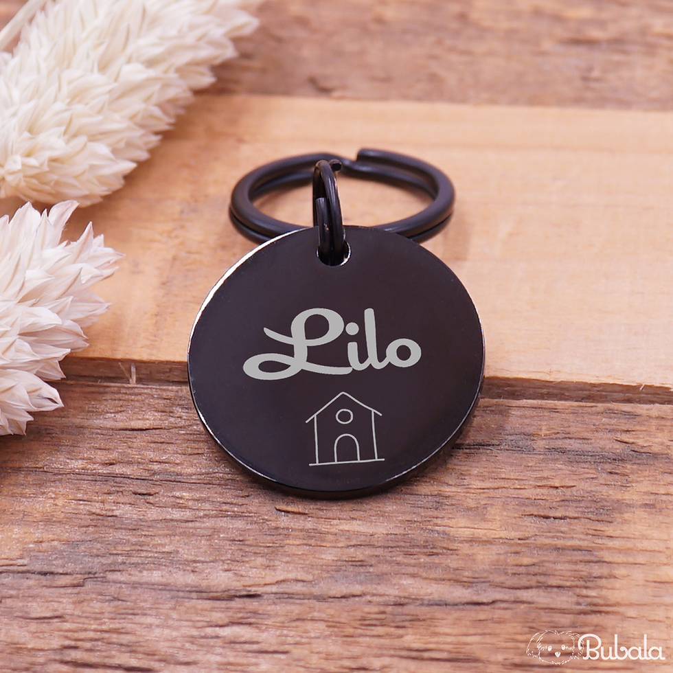 Miniaturbild: Hundemarke Edelstahl, graviert, Silber, Frontansicht, mit Hundehütte
